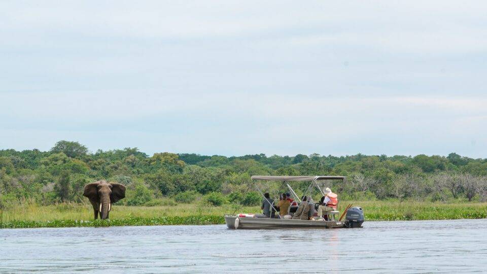 Boat Safari Kikooko Africa Safaris