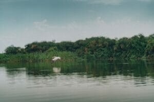 Bird Watching In Queen Elizabeth National Park