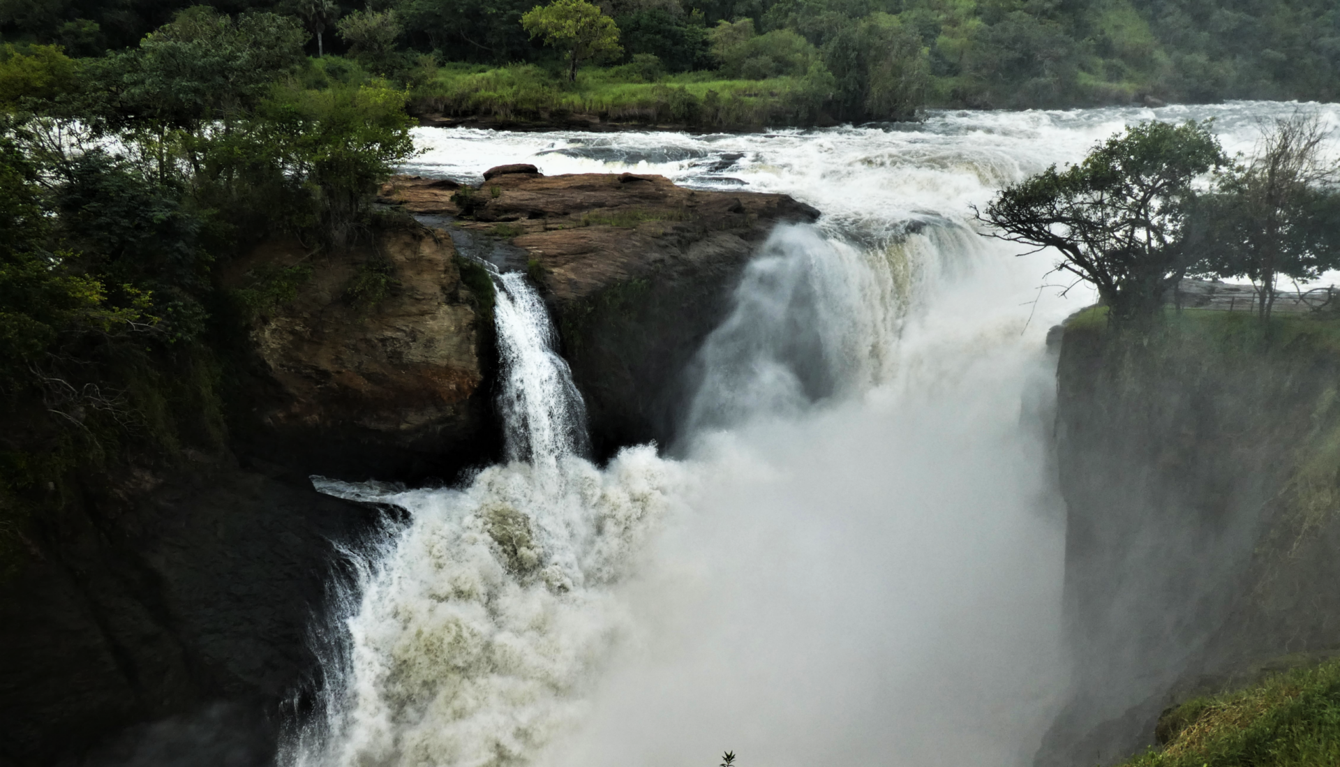 Reiseführer für den Murchison Falls National Park