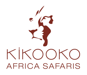 kiko travel and tours