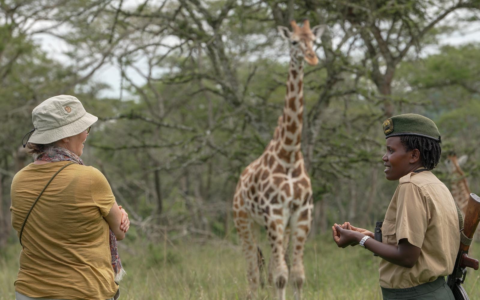 Wo findet man Nubische Giraffen in Uganda?